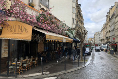 An illustrative photo of a café on a Paris street with pink flowers.