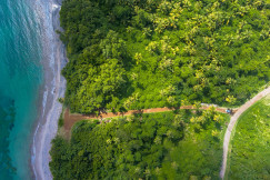 An illustrative photo of green trees near a body of water.