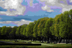 An illustrative photo of a row of trees in a park on a cloudy day.