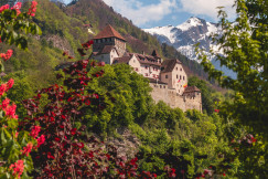An illustrative photo of a castle on a mountain with green trees.