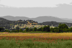 An illustrative photo of a field of grass with a city in the background.