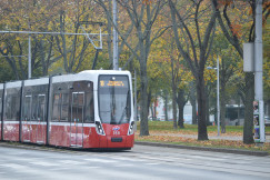 An illustrative photo of a red and white train traveling down a street.