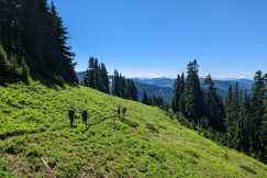 An illustrative photo of a group of people walking up a hill with trees on it.