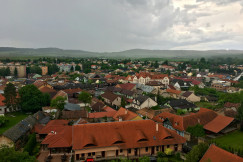 An illustrative photo of a city with red roofs.