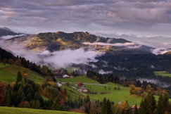 An illustrative photo of a green grass field.