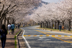 An illustrative photo of a group of people walking down a street.