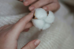 A person holding a cotton ball in their hands photo – Free Human Image on Unsplash