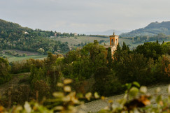 An illustrative photo of a yellow church in the background.