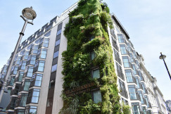 An illustrative photo of a high-rise building with plants growing on it.