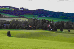 An illustrative photo of a green field with houses in the distance.