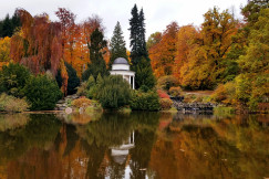 An illustrative photo of a lake surrounded with orange trees.
