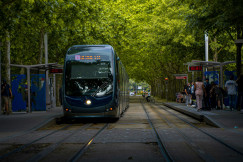 An illustrative photo of a blue tram between green trees.