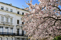 An illustrative photo of a large white building with a tree in front.