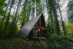 An illustrative photo of a small cabin in the middle of a forest.