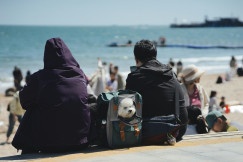 An illustrative photo of people at the beach with their dog.