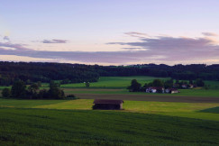 An illustrative photo of houses in a large green field.