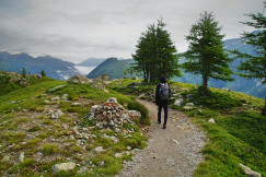 An illustrative photo of a person walking beside green leaf tree.