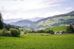 An illustrative photo of a green grass field near green mountains.