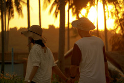 An illustrative photo of a man and a woman holding hands in front of a sunset.