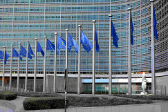 An illustrative photo of multiple flags of the European Union.