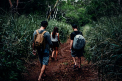 An illustrative photo of people walking on dirt road between green grass.