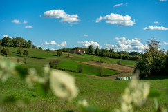 An illustrative photo of a green field with trees and a house in the distance.