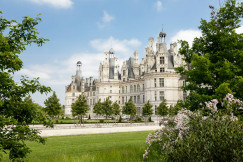 An illustrative photo of a white castle surrounded by trees.