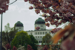 An illustrative photo of a building with a dome roof and trees in front.