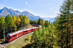 An illustrative photo of a red and white train traveling near trees.