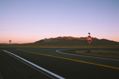 An illustrative photo of a stop sign on the side of the road.