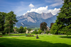 An illustrative photo of a green grass field with trees.