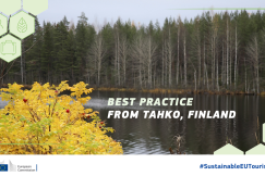 Lake surrounded by forrest