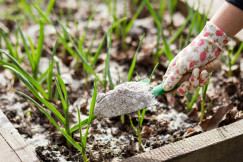 Gardening fertiliser