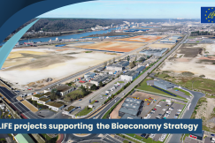 Aerial view of an industrial area