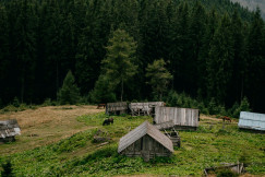 a-man-walking-across-a-grass-covered-field in Carpathia mountains