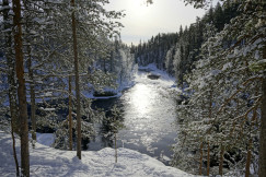 a-river-running-through-a-snow-covered-forest
