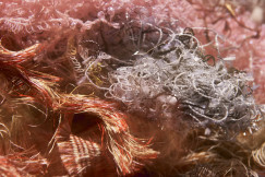 macro shot of tangled, colorful fibers and threads