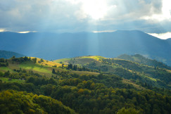 A view of greenery covered mountains