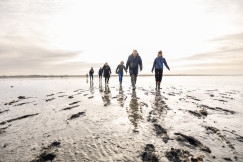 group of people walking by the sea