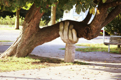 Wooden hand holding a tree