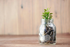 Mason jar filled with coins and a small plant on a wooden background