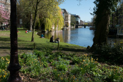people-are-sitting-on-the-grass-by-the-water