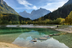 green-trees-near-lake-under-blue-sky-during-daytime