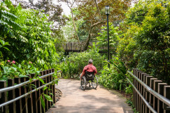/man-in-red-shirt-riding-bicycle-on-pathway-during-daytime