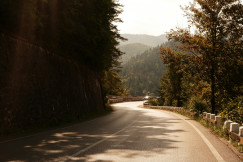 winding-mountain-road-through-a-forest