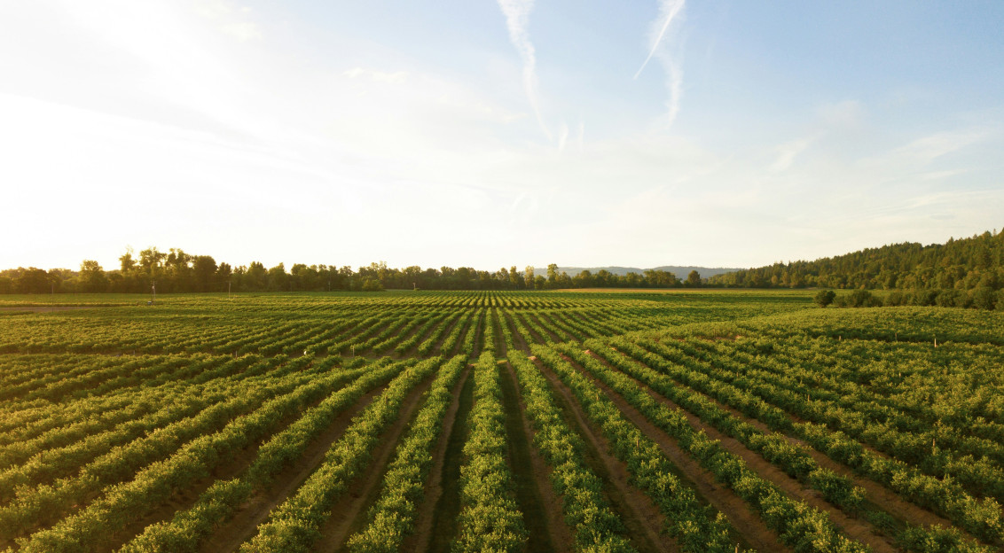 A photo presents cultivated farmland stretching toward the horizon.
