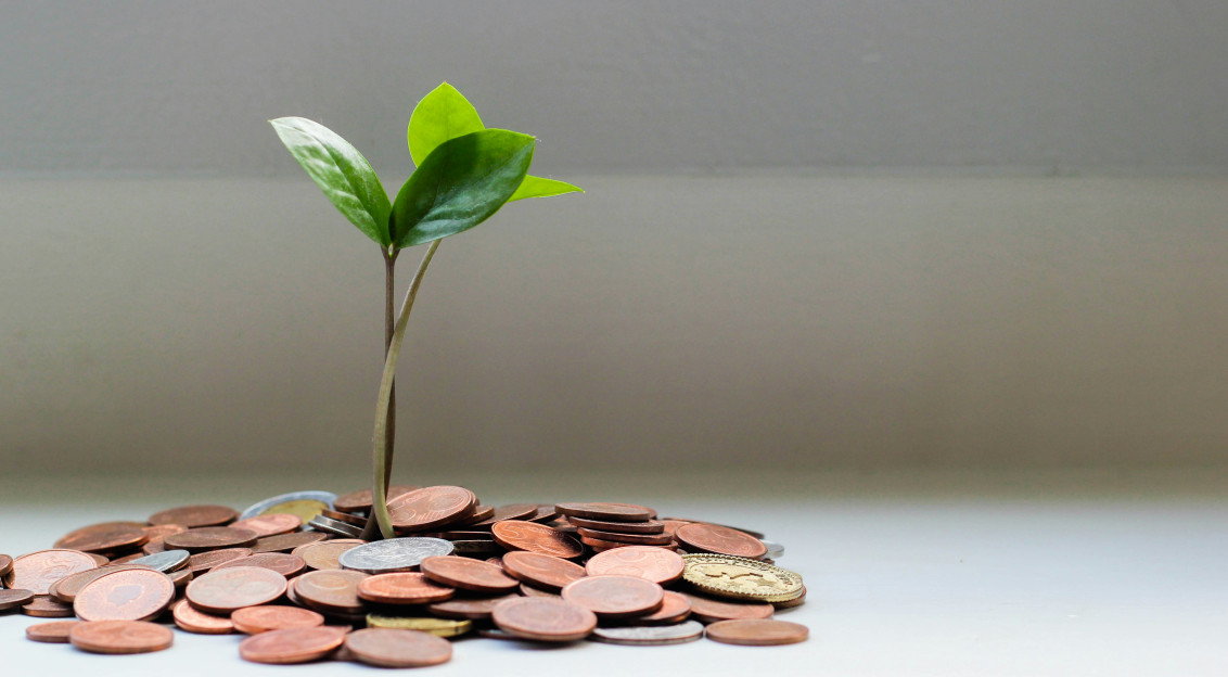 The picture presents savings growing like a plant.