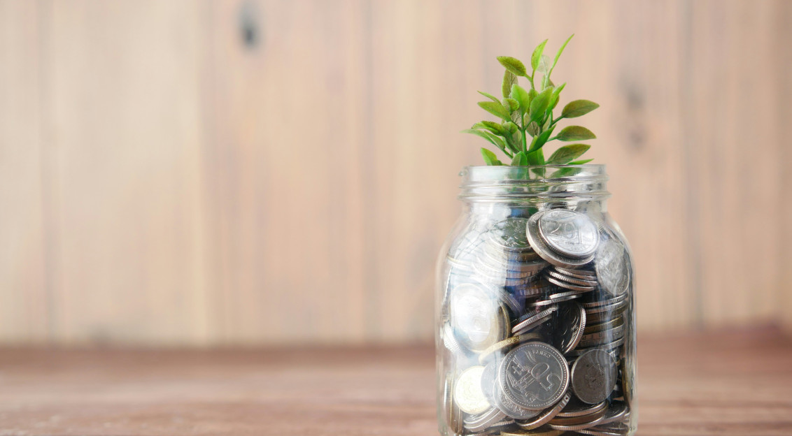 The picture presents savings growing like a plant.