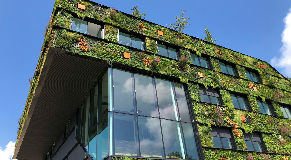 The picture showcases a modern building integrated with lush greenery.