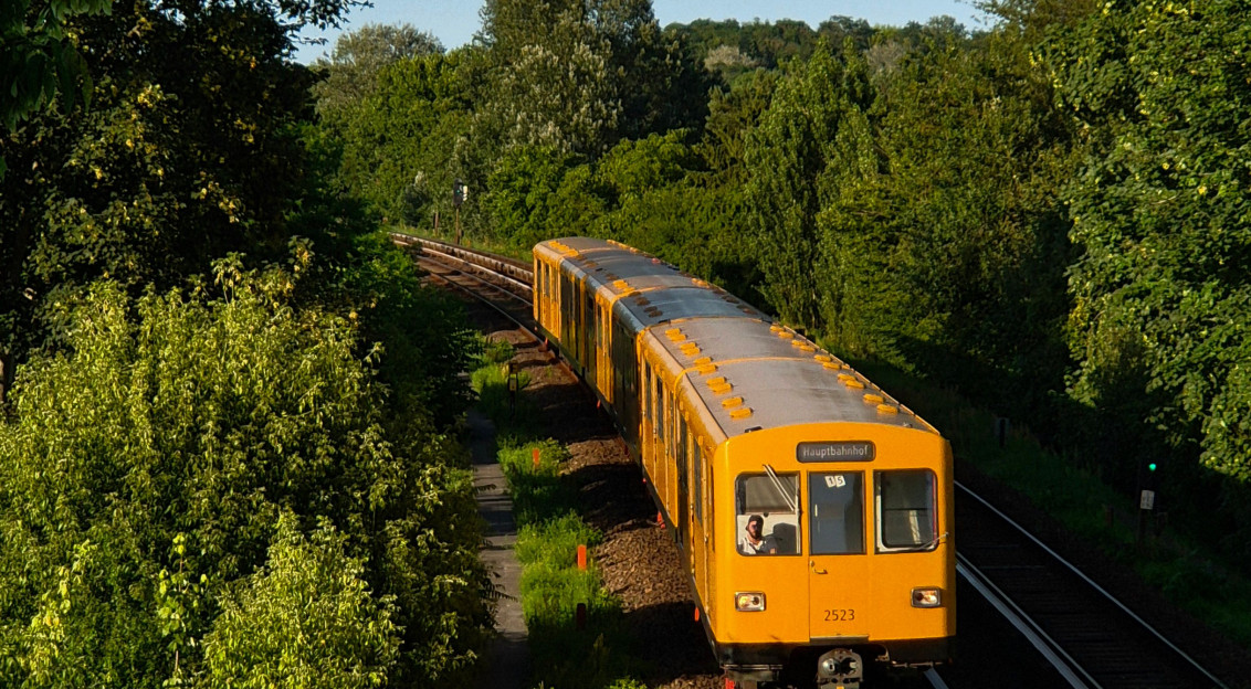 The picture describes a passenger train traveling along a railway line surrounded by dense vegetation and mature trees.